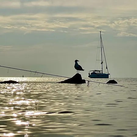 Ferienwohnung1 In Der Westwind Lejlighed