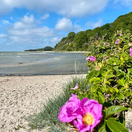 Lejlighed Ferienwohnung1 In Der Westwind Thiessow