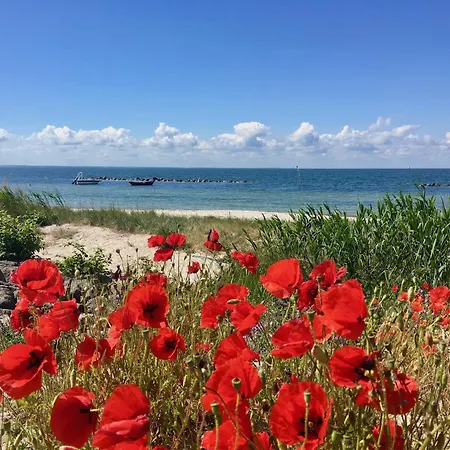 Ferienwohnung1 In Der Westwind *