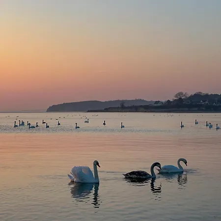 Ferienwohnung1 In Der Westwind Thiessow